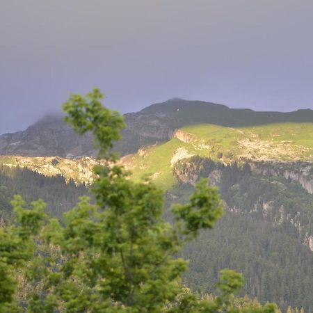 Domaine Du Grand Tetras Samoens Samoëns Exterior foto