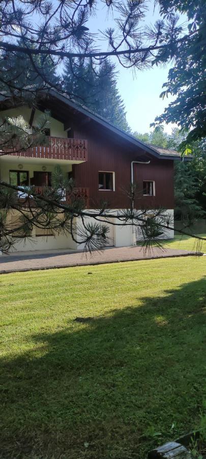 Domaine Du Grand Tetras Samoens Samoëns Exterior foto